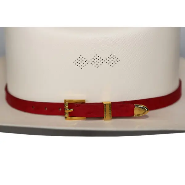 Hat Bands Ostrich/Toquillas para Sombrero Avestruz - Image 3