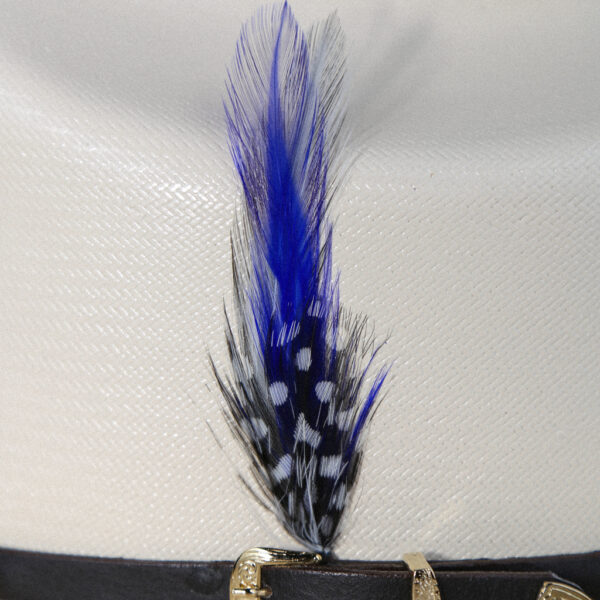 Hat Feathers/ Plumas Para Sombrero - Image 3