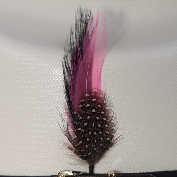 Hat Feathers/ Plumas Para Sombrero - Image 5