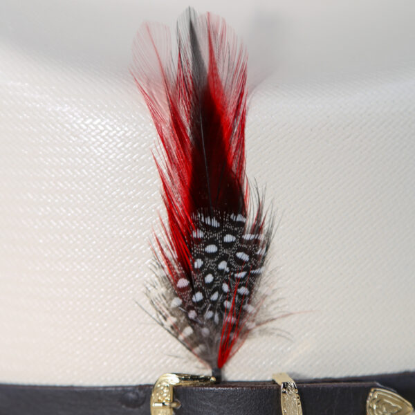 Hat Feathers/ Plumas Para Sombrero - Image 2