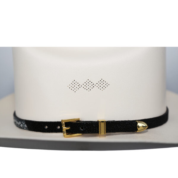 Hat Bands Sting-Ray/ Toquillas para Sombrero Mantarraya