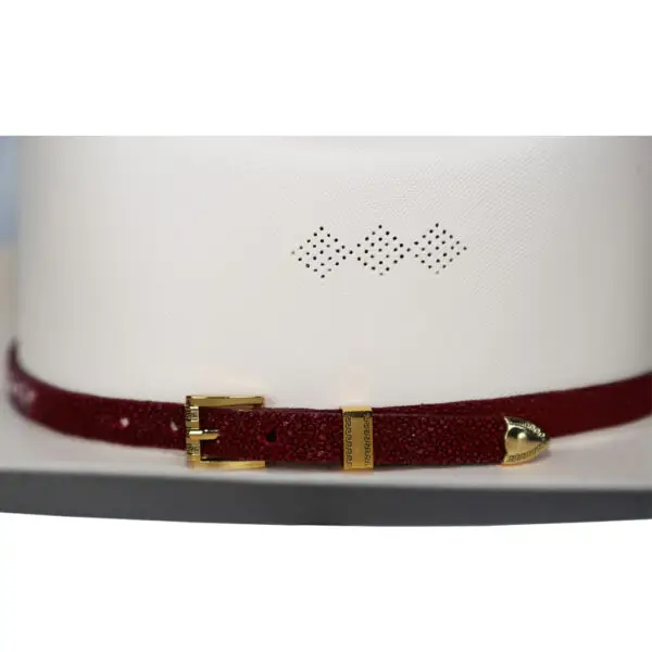 Hat Bands Sting-Ray/ Toquillas para Sombrero Mantarraya - Image 3